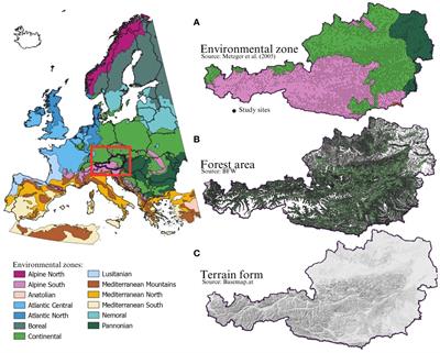 The potential of non-native tree species to provide major ecosystem services in Austrian forests